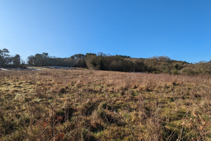 Terrain à vendre à Beignon