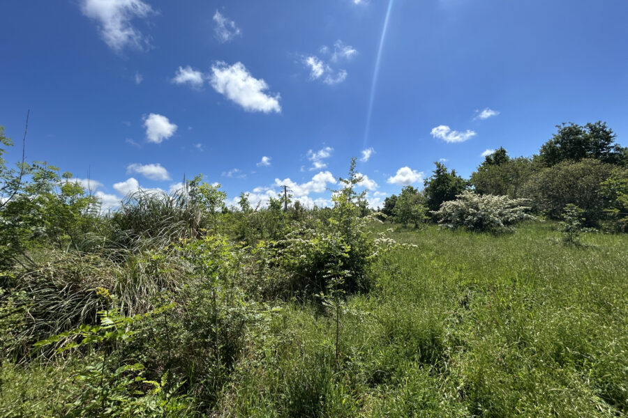 Terrain à vendre à L&rsquo;Île-d&rsquo;olonne — Vue nature — photo 3