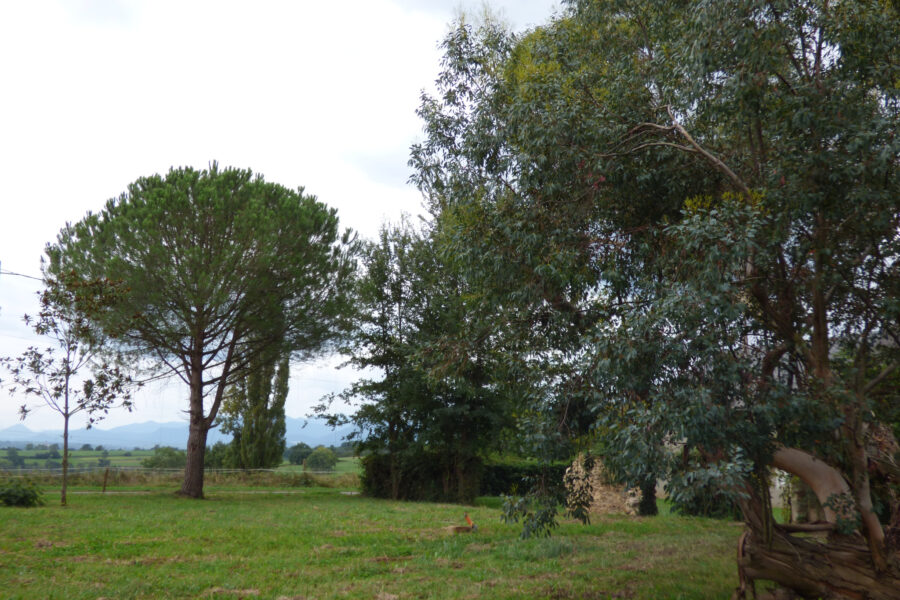 Maison à vendre à Tournay