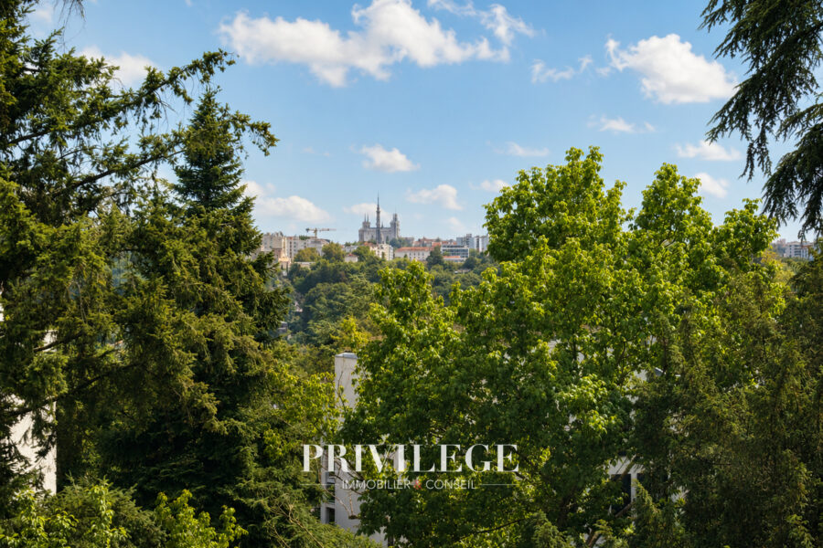 Appartement à vendre à Lyon