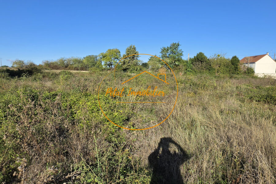 Terrain à vendre à Beaugency — Vue nature — photo 5