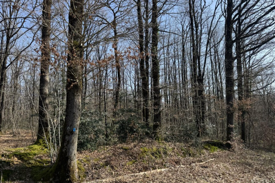 Terrain à vendre à Écueillé