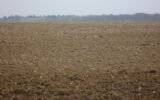 Terrain à vendre à Châteauroux