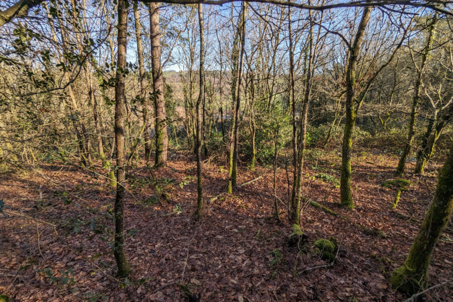 Terrain à vendre à Beignon