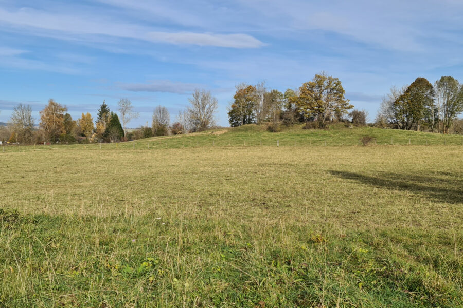 Terrain à vendre à Olby