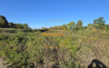 Terrain à vendre à Beaugency — Vue nature — photo 4
