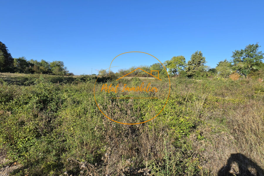 Terrain à vendre à Beaugency — Vue nature — photo 4