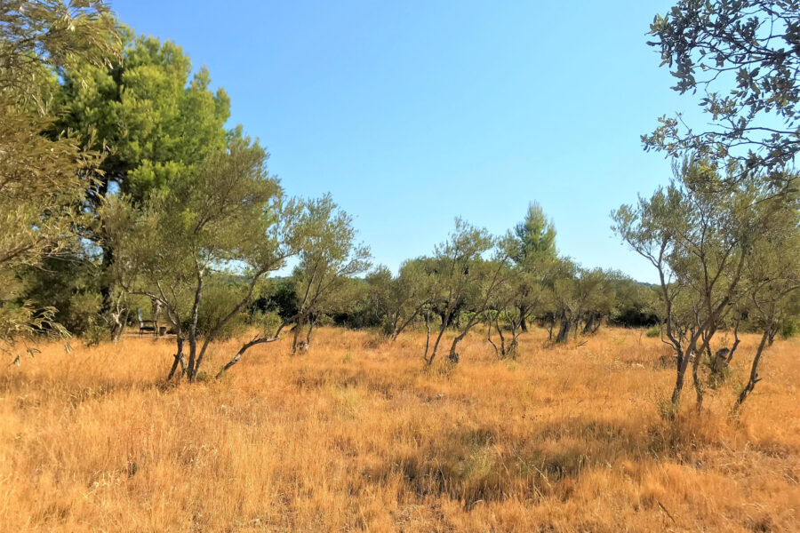 Terrain à vendre à Aniane