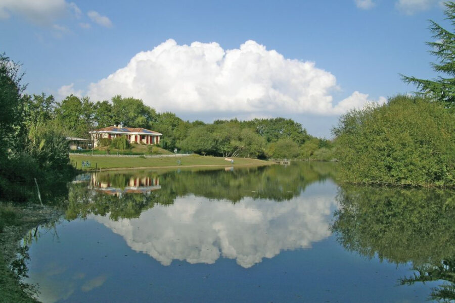 Maison à vendre à Le champ-saint-père