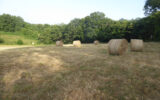 Terrain à vendre à Champsac