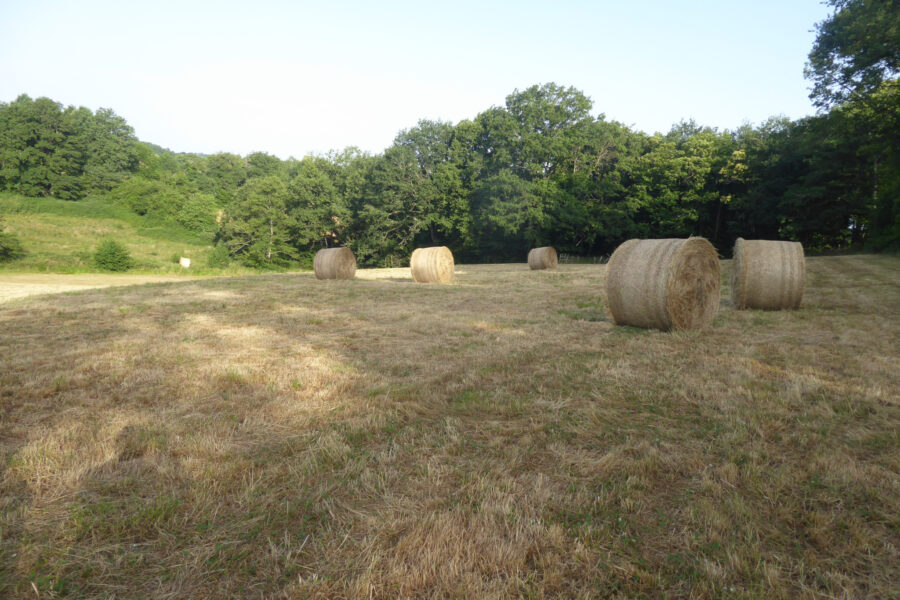 Terrain à vendre à Champsac