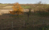 Terrain à vendre à Villeneuve-sur-yonne