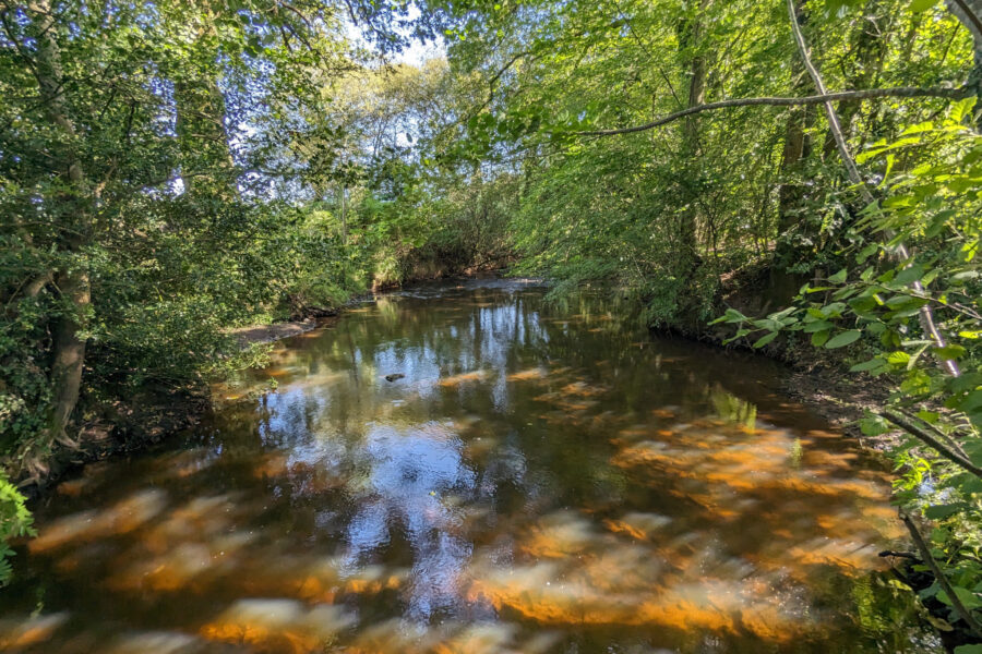 Terrain à vendre à Beignon