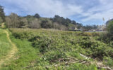 Terrain à vendre à Trébeurden