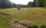 Terrain à vendre à Champsac