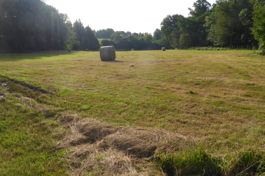 Terrain à vendre à Champsac