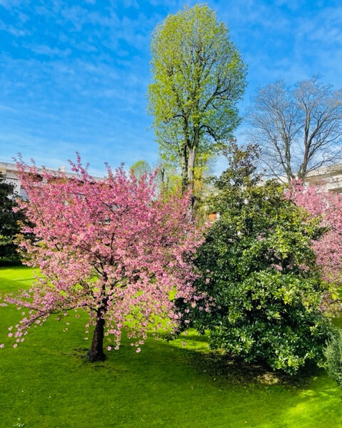 Appartement à vendre à Ville-d&rsquo;avray