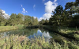 Maison à vendre à Saint-ange-et-torçay — Vue nature — photo 6