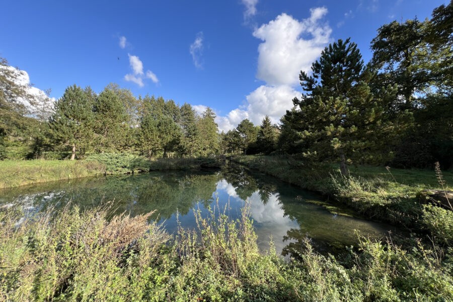 Maison à vendre à Saint-ange-et-torçay — Vue nature — photo 6
