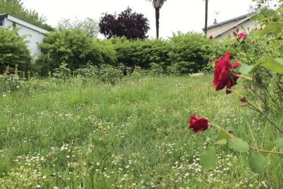 Terrain à vendre à Jurançon