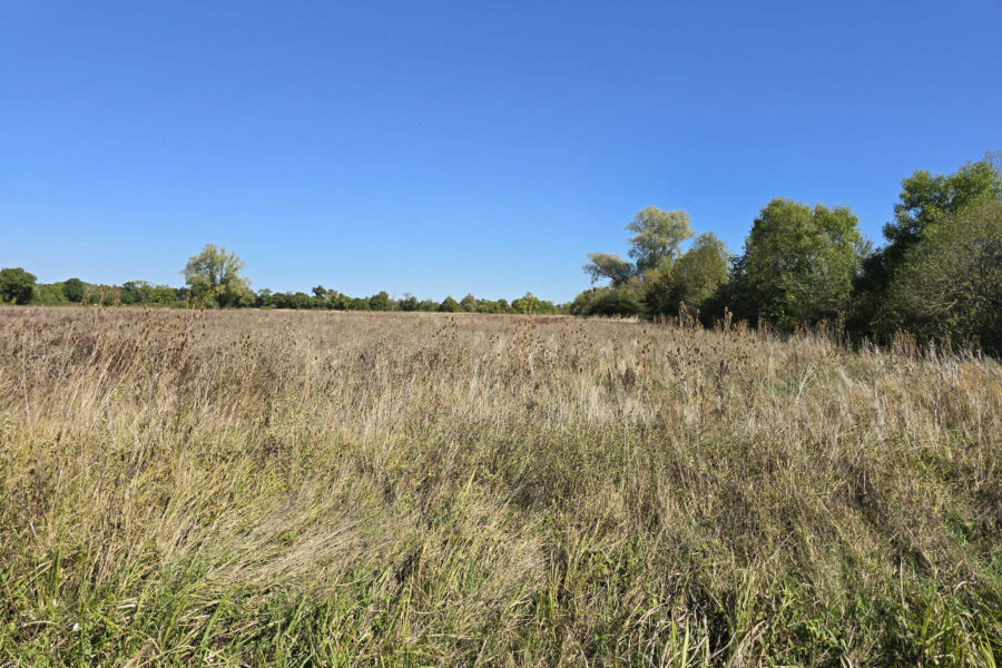 Terrain à vendre à Neuilly-en-dun