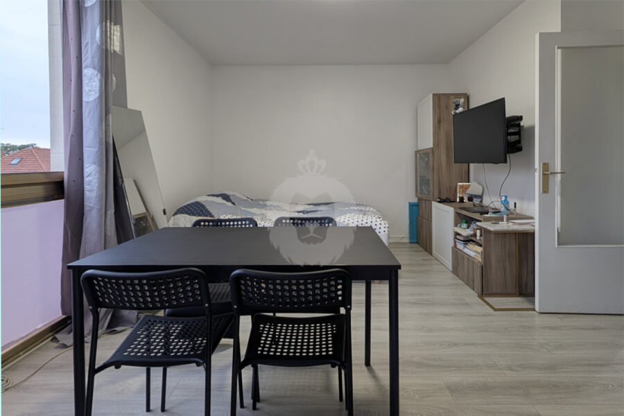 Appartement à vendre à Saint-maur-des-fossés
