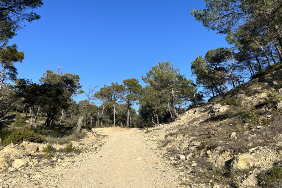 Terrain à vendre à Rocbaron — Vue nature — photo 5