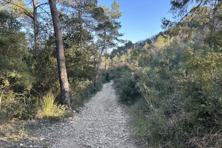 Terrain à vendre à Rocbaron — Vue nature — photo 3