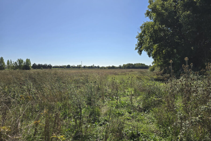 Terrain à vendre à Neuilly-en-dun