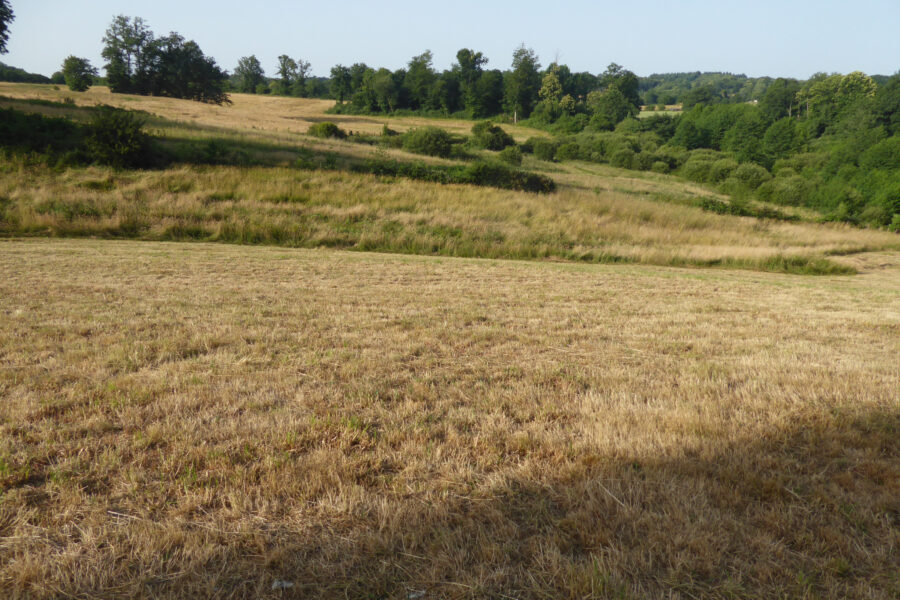 Terrain à vendre à Champsac