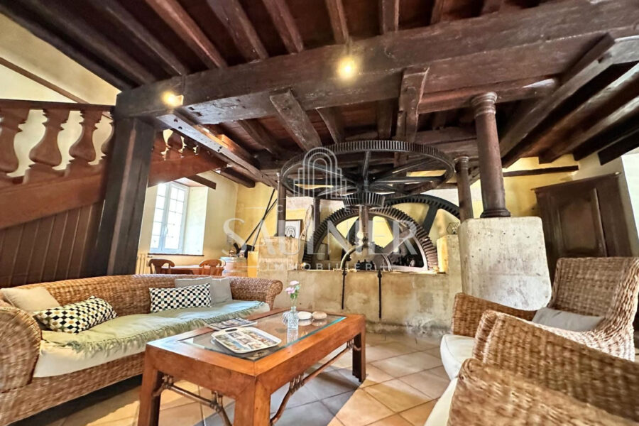 Maison à vendre à Chançay — Vue fleuve — photo 8