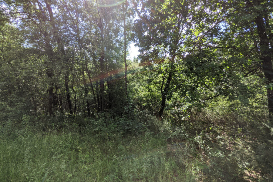 Terrain à vendre à Loutehel