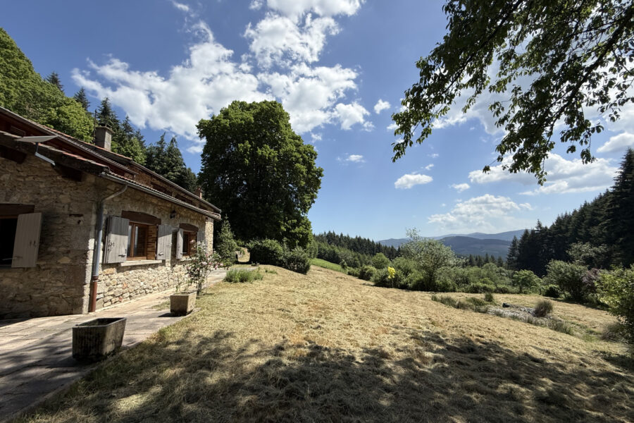 Maison à vendre à Celles-sur-durolle — Vue nature — photo 18