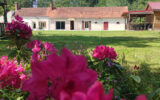 Maison à vendre à La ferté-saint-cyr
