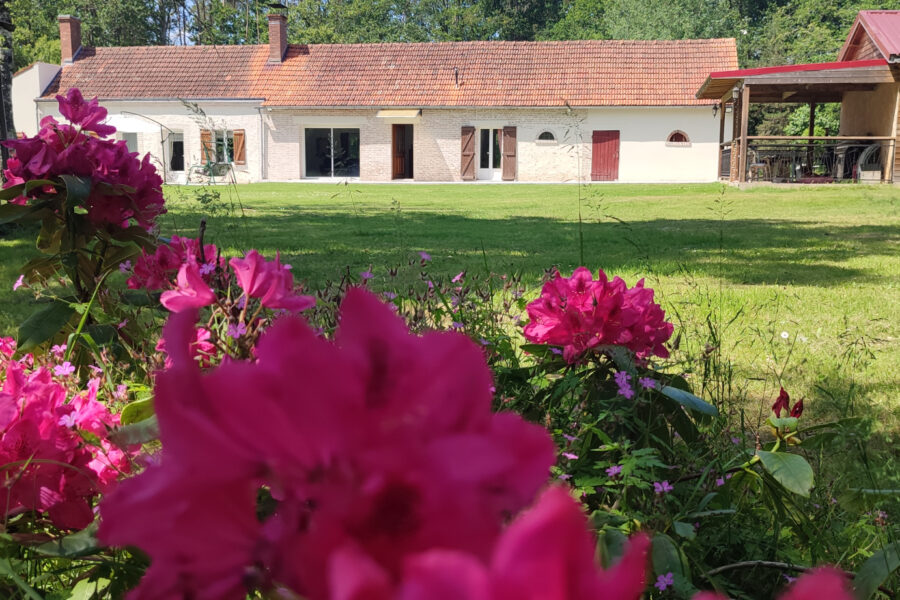 Maison à vendre à La ferté-saint-cyr