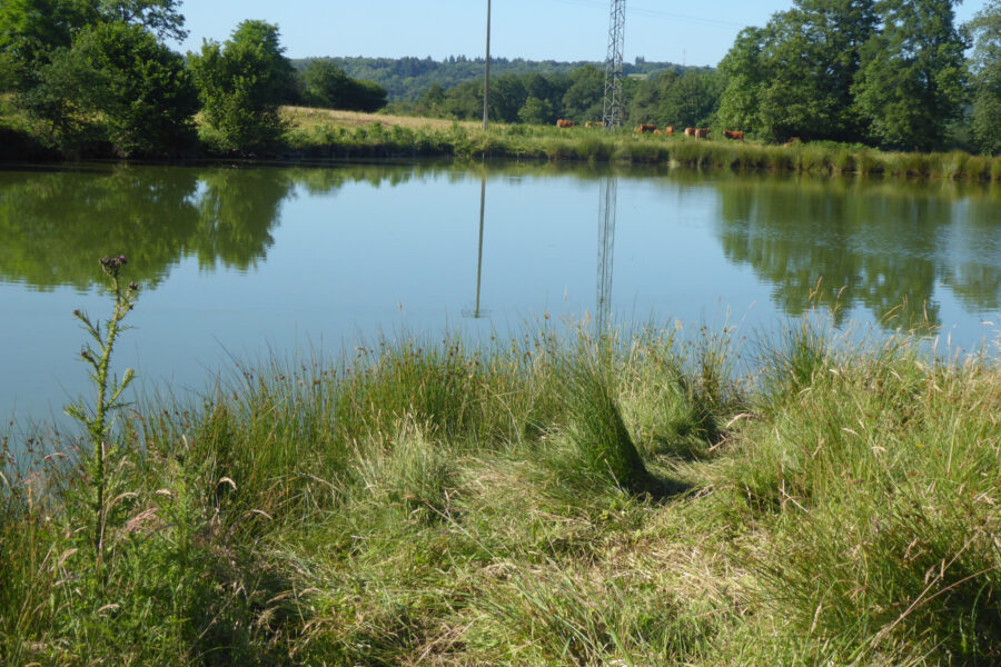 Terrain à vendre à Le buis