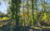 Terrain à vendre à Beaugency — Vue nature — photo 4