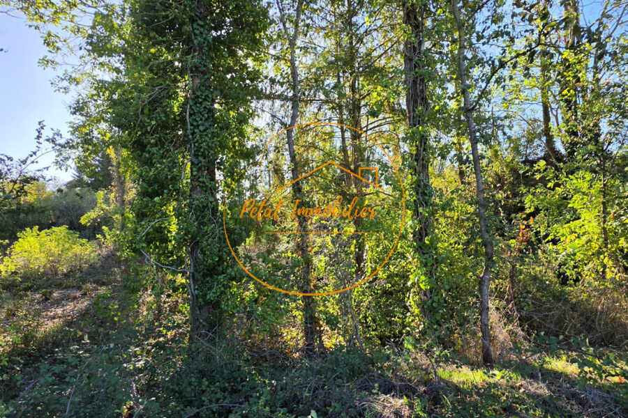 Terrain à vendre à Beaugency — Vue nature — photo 4