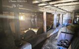 Maison à vendre à Montignac-lascaux — Vue nature — photo 14