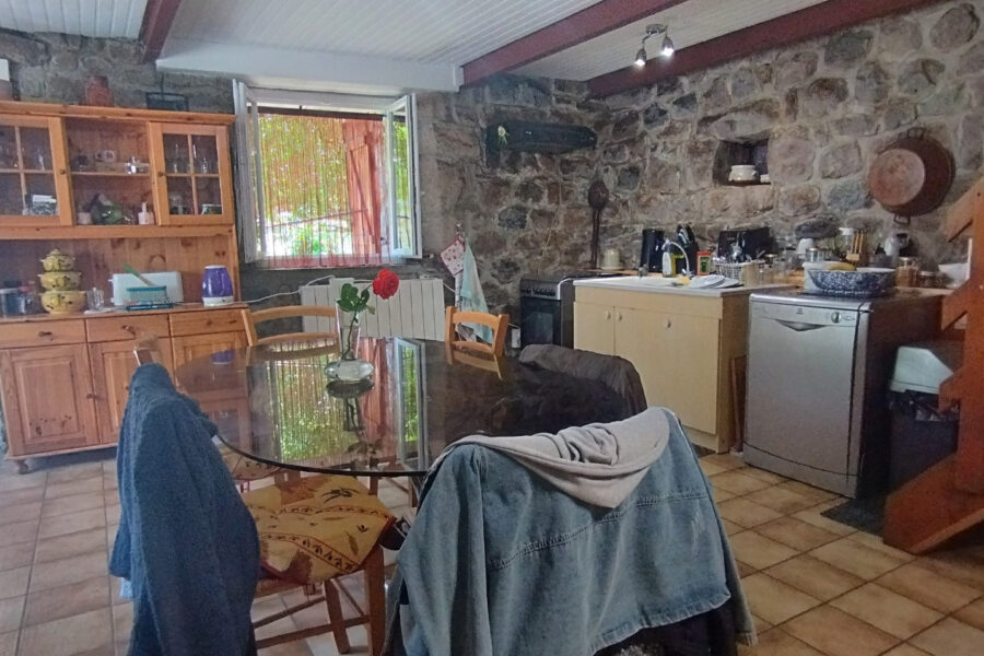 Maison à vendre à Lachapelle-sous-chanéac — Vue nature — photo 11