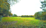 Terrain à vendre à Montigny