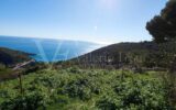 Terrain à vendre à Èze — Vue mer — photo 1