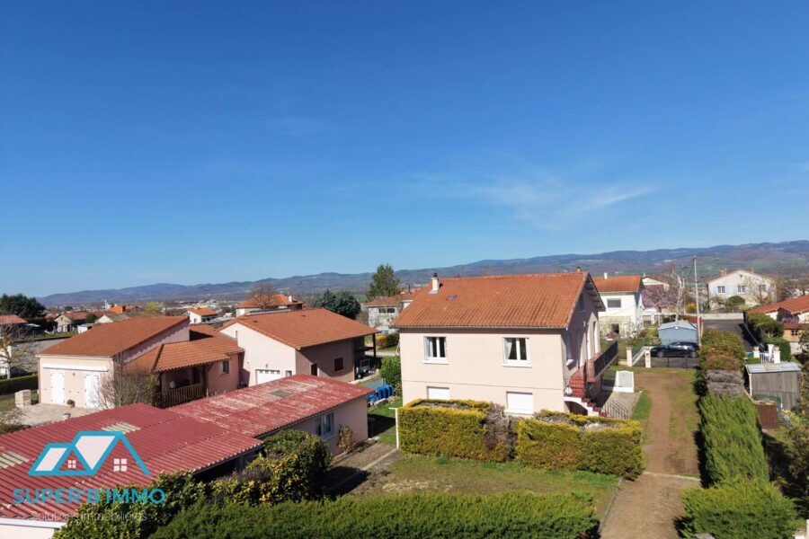 Maison à vendre à Brioude — Vue nature — photo 9