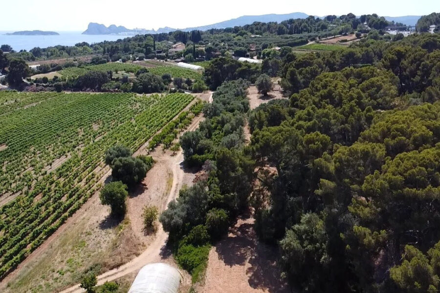 Maison à vendre à La ciotat — Vue mer — photo 5