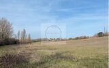 Terrain à vendre à Montauban — Vue nature — photo 2