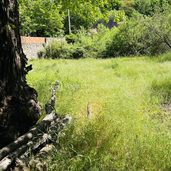 Terrain à vendre à Bedarieux