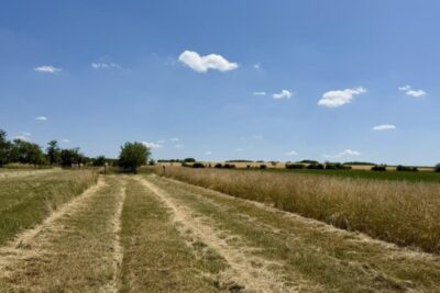Terrain à vendre à Haraucourt
