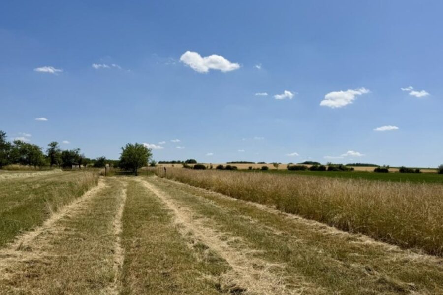 Terrain à vendre à Haraucourt
