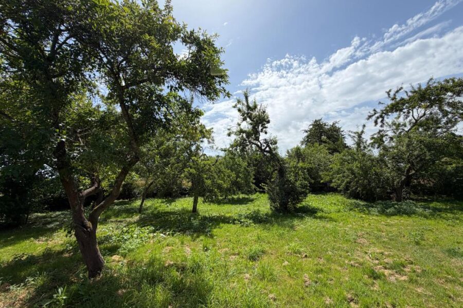 Terrain à vendre à Saint lubin de la haye — photo 1