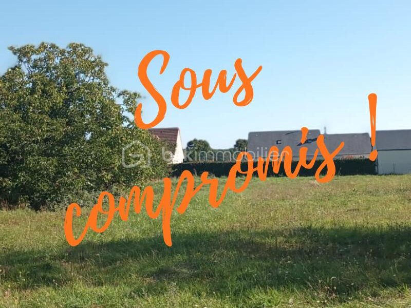 Terrain à vendre à Muides sur loire — photo 1